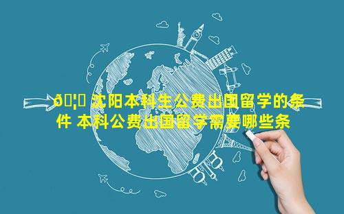 🦉 沈阳本科生公费出国留学的条件 本科公费出国留学需要哪些条件